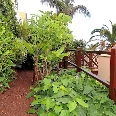Apartamento Mar Y Teide * Sauzal