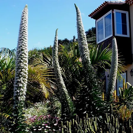 Apartamento Mar Y Teide Apartment